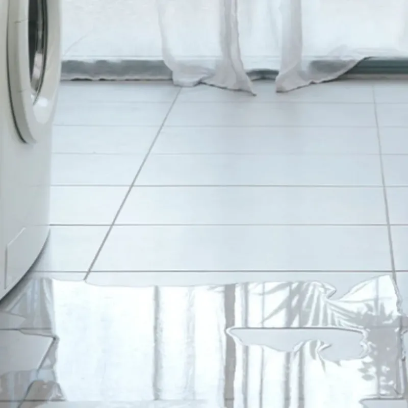 Appliance Leak Cleanup in Alloway, NJ