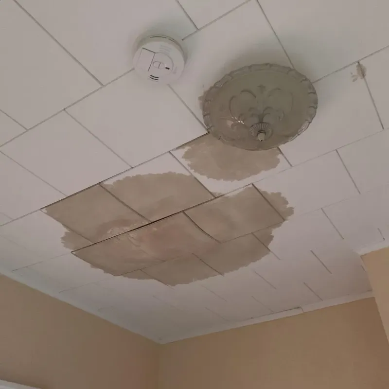 Ceiling Water Damage Repair in Alloway, NJ