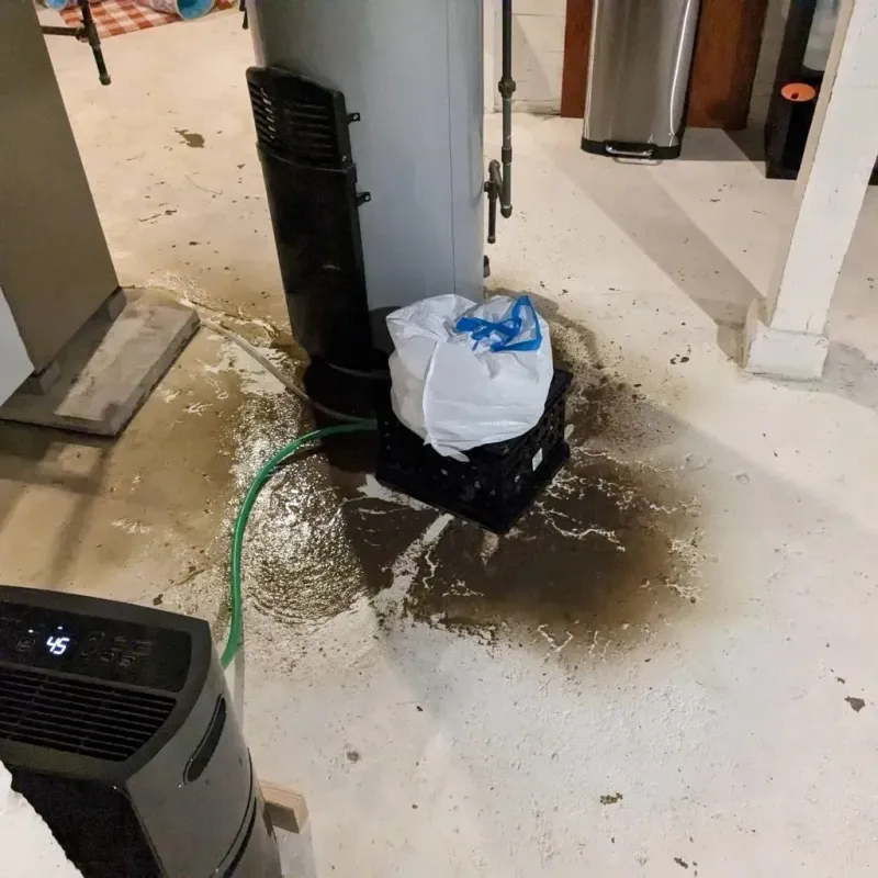 Sewage Backup Cleanup Service in Alloway, NJ
